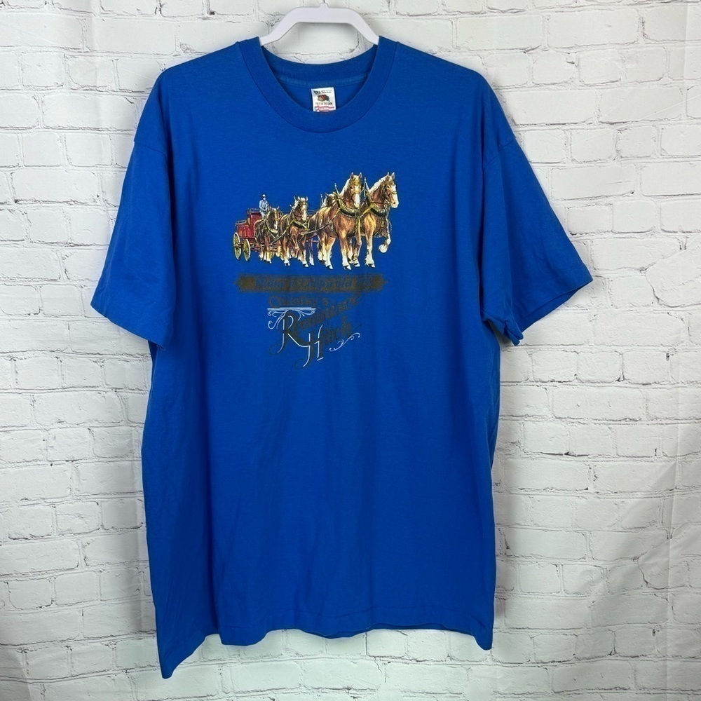 Fruit Of The Loom Vintage Single Stitch Graphic Tee Shirt 1993 Reminisce XXL